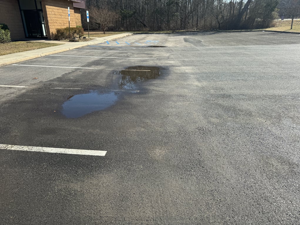 Asphalt Paving - Standing Water