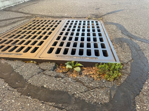 Failing catch basin in a New Jersey parking lot showing vegetation growth, broken asphalt edges, and settlement around the storm grate