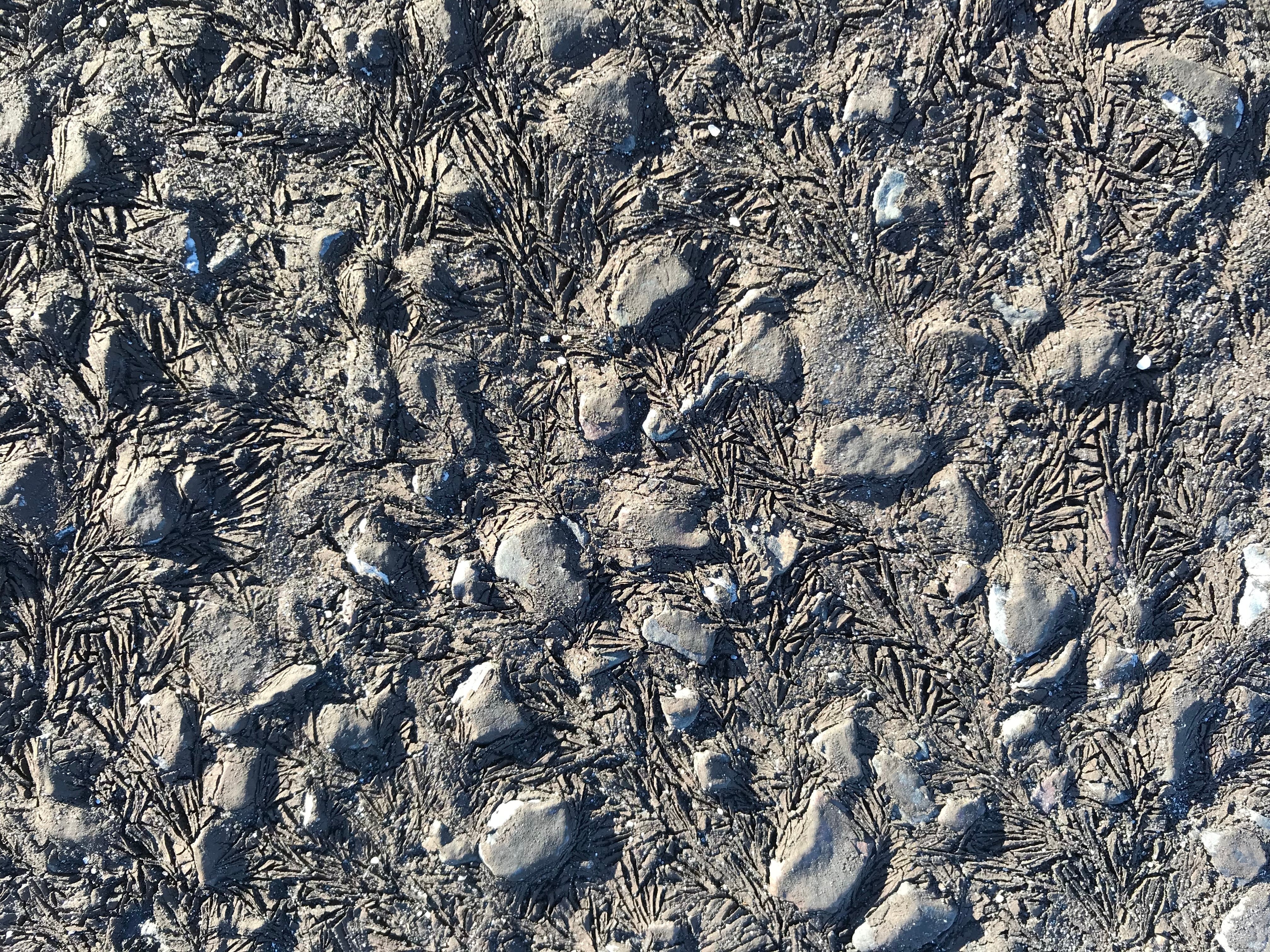 Cold-weather sealcoat failure demonstrating why proper temperatures are required for curing.