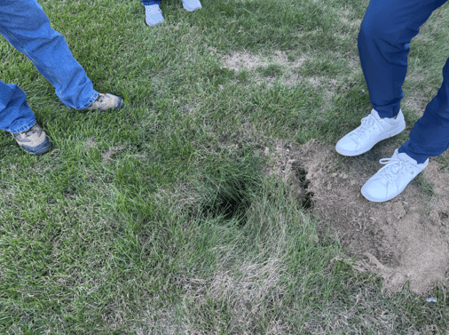 Screenshot 2025-11-30 at 11.52.25 AM