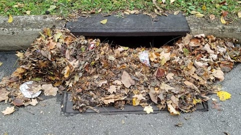 leaves_clogging