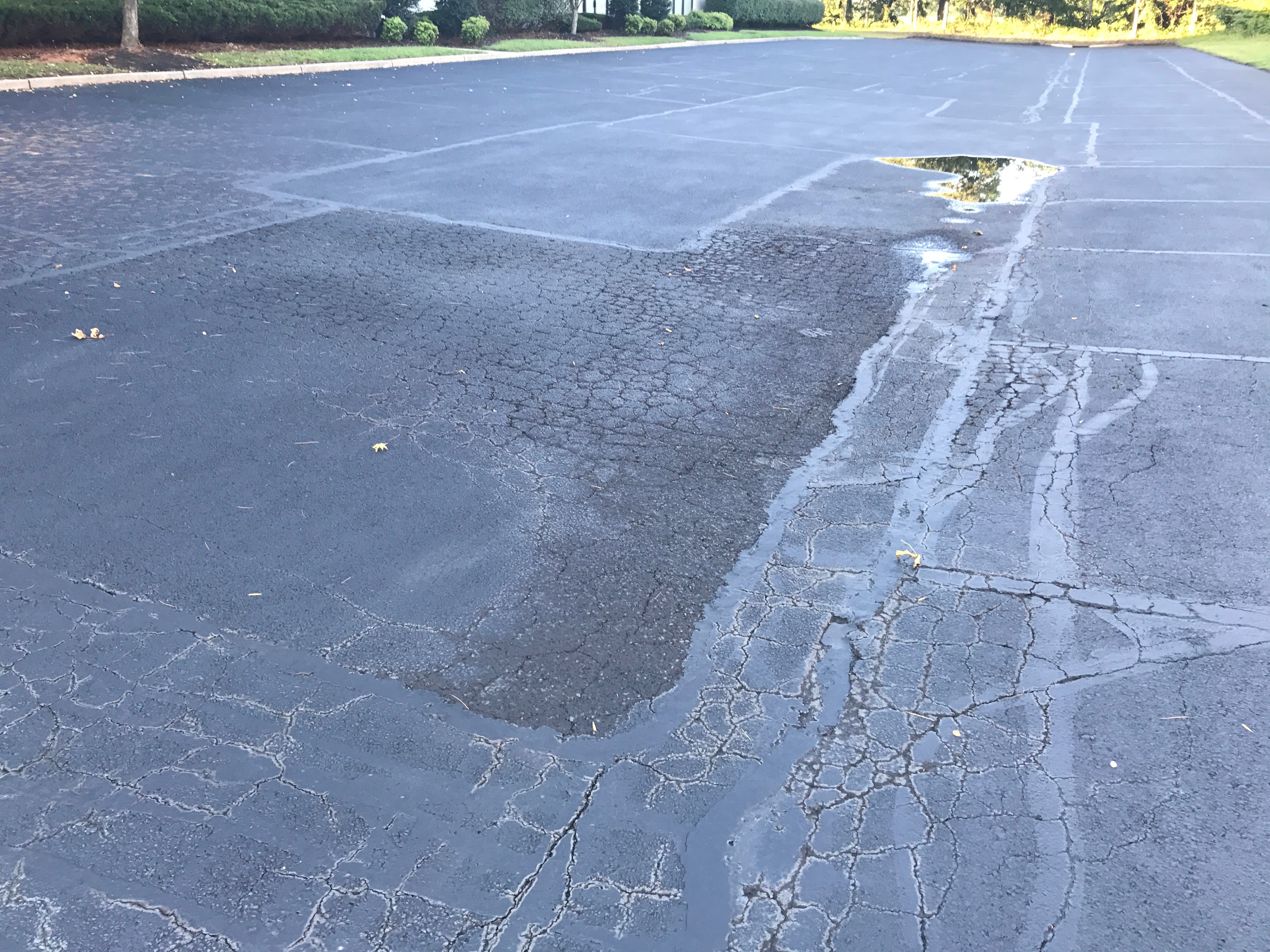 Alligator Cracked Asphalt